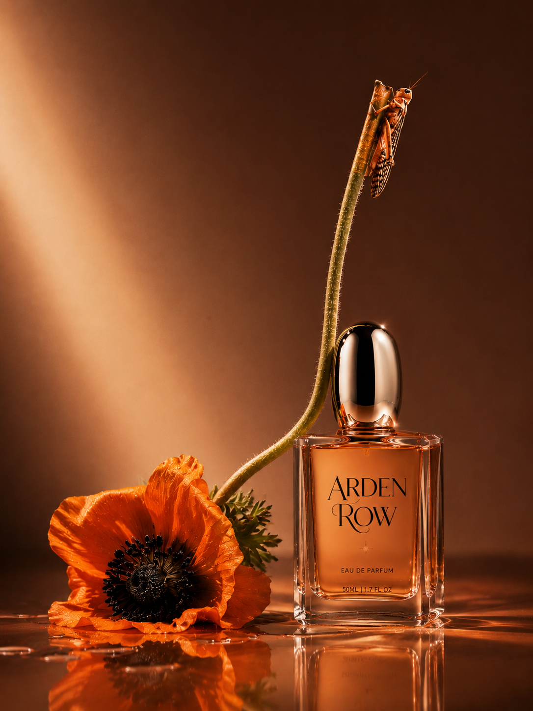 Arden Row — Amber · Poppy · Warm woods